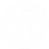 feature-icon