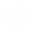 feature-icon