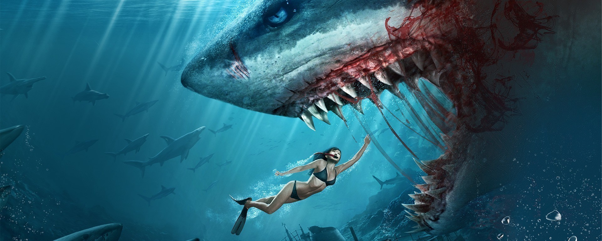 Horror Shark
