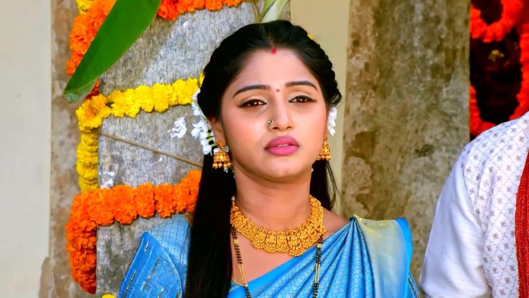 saravanan meenakshi today episode tu saravanan meenakshi today episode tu