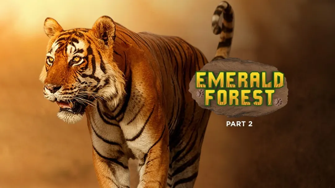 Emerald Forest (Part 2) Movie