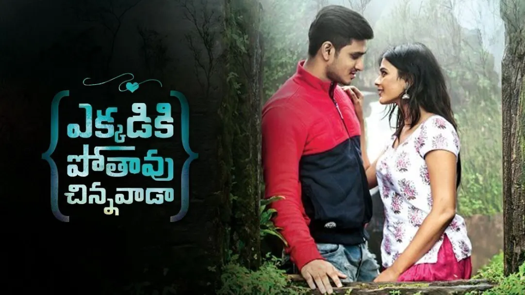 Ekkadiki Pothavu Chinnavada Movie