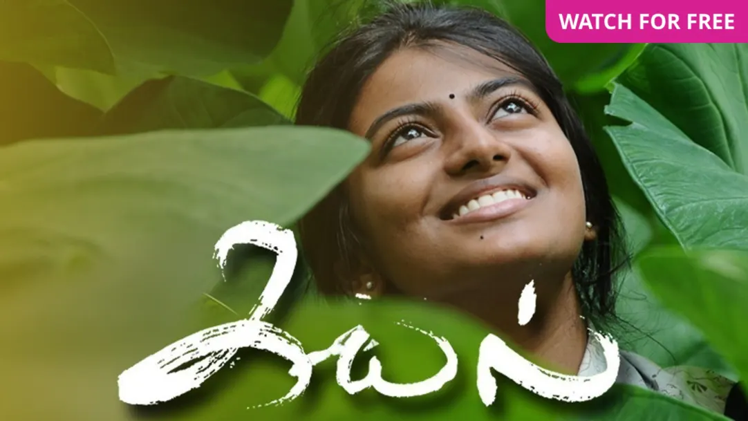 Full sale movie hd