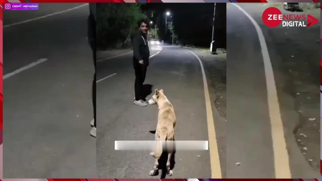 sunny deol voice copy by person walking late night on road to save himself from dog barking watch viral video 