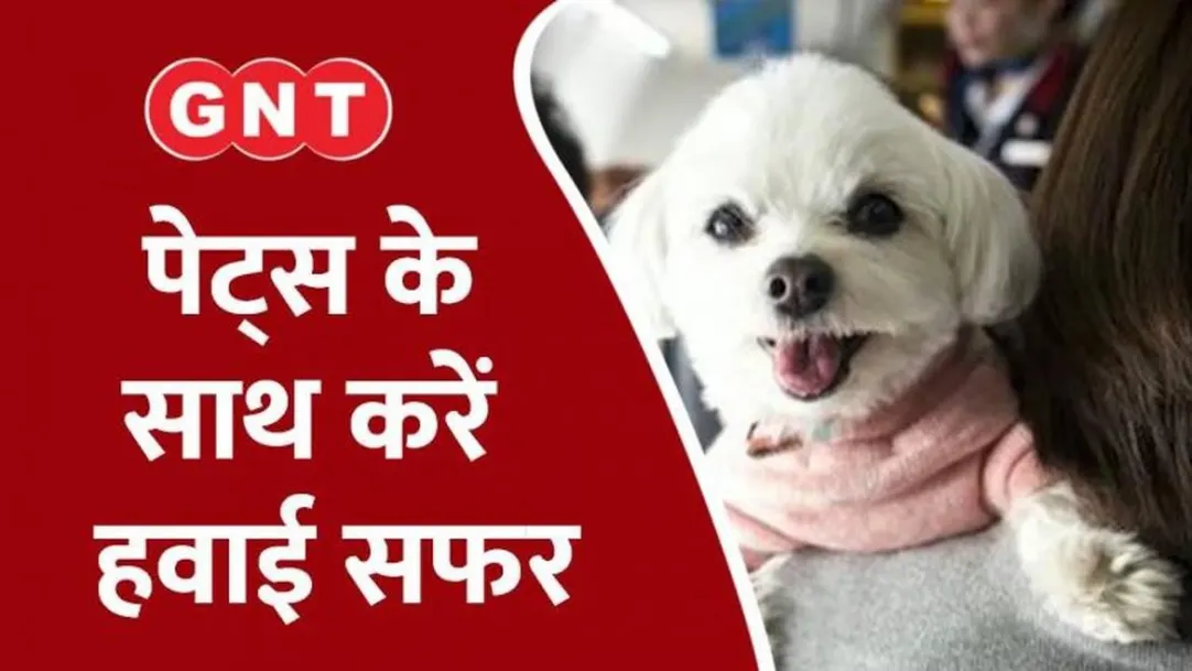 India Akasa Air allows pets onboard with passengers 