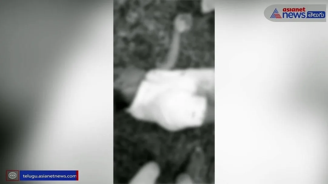 Murder Attempt on Farmer Over Land Dispute in Siricilla District 