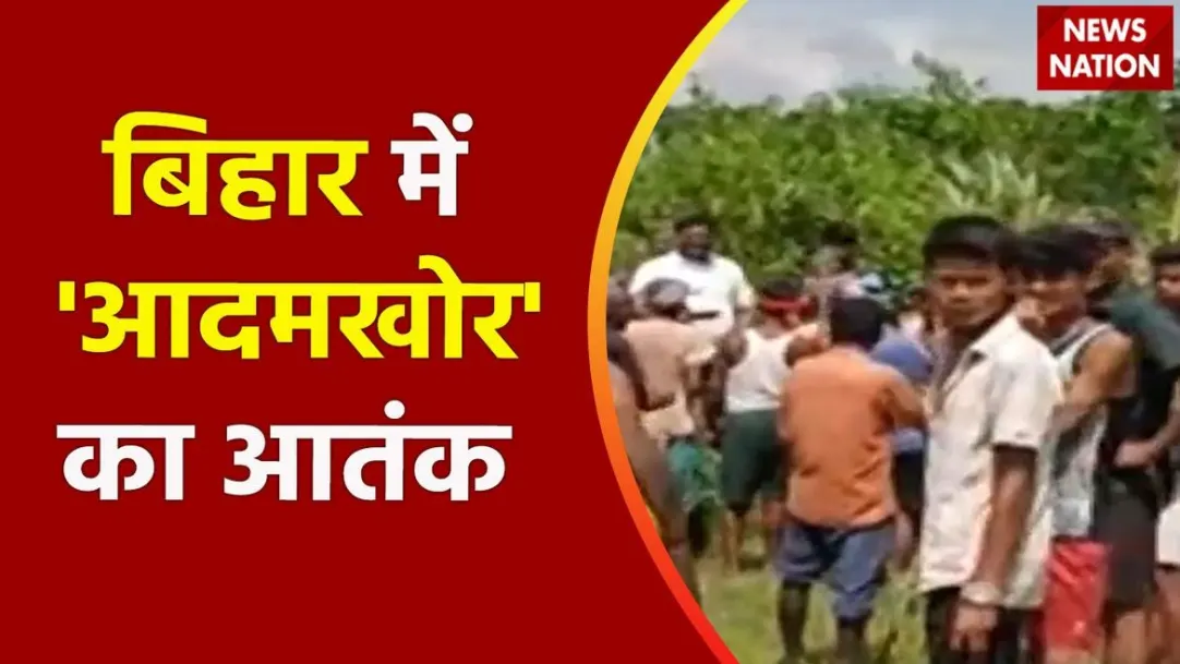Bihar Breaking News: वाल्मीकि टाइगर रिजर्व के 'आदमखोर' की दहशत 