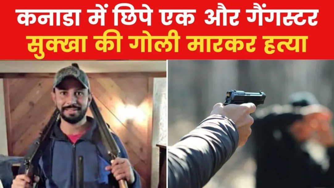 Gangster Sukhwinder Singh alias Sukha murdered in Canada shot dead World News in hindi 