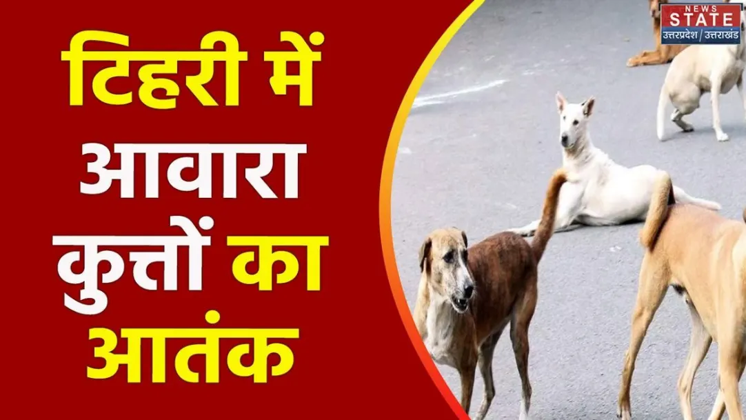 Uttarakhand News : Tehri में नहीं थम रहा आवारा कुत्तों का आतंक 
