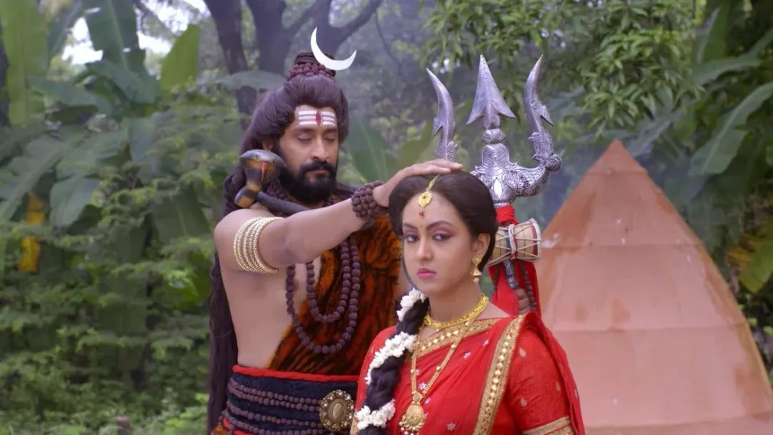 Will Shankara save Niyati from her troubles? - Shree Vishnu Dashavatara Highlights 