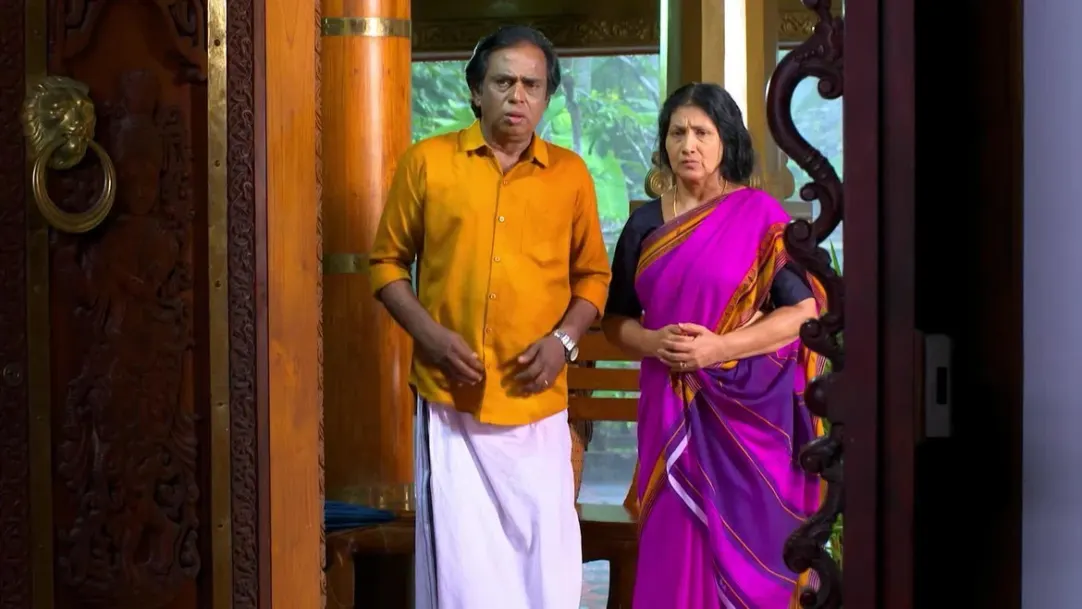Vasudevan and his wife arrive at 'Thamburan Madam' - Sumangali bhava Highlights 