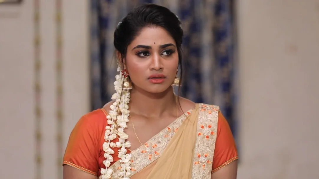 Rettai Roja TV Serial Watch Rettai Roja Online All Episodes 1