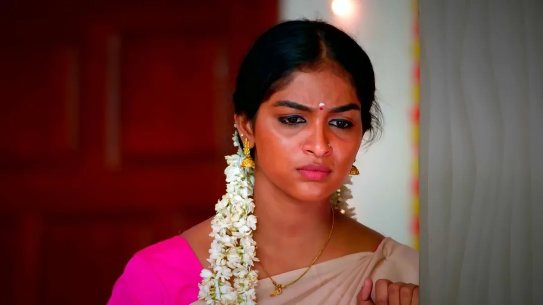 Karthigai Deepam - February 17, 2023 - Episode Spoiler
