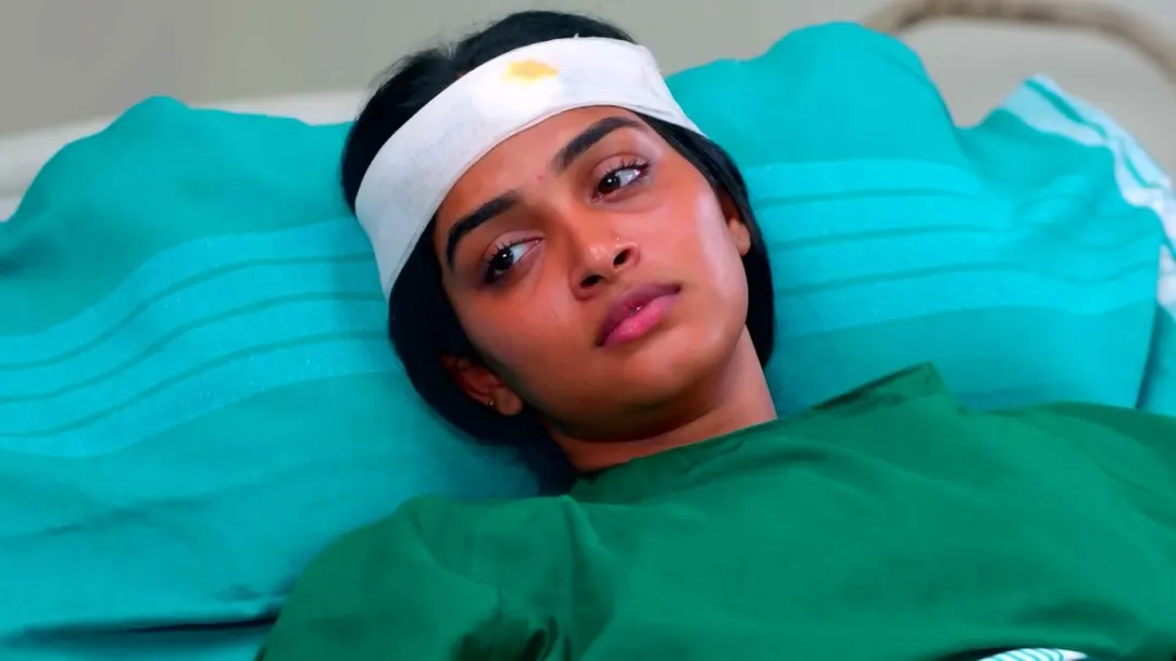 Karthigai Deepam - March 28, 2023 - Episode Spoiler