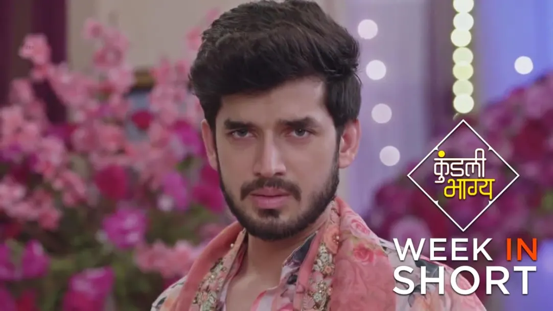Kundali bhagya watch online on zee5 sales