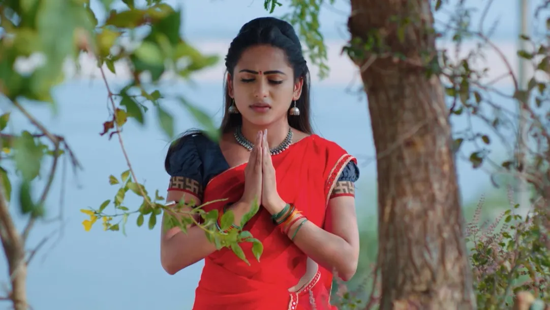 No. 1 Sose - May 19, 2021 - Webisode 19th May 2021 Webisode