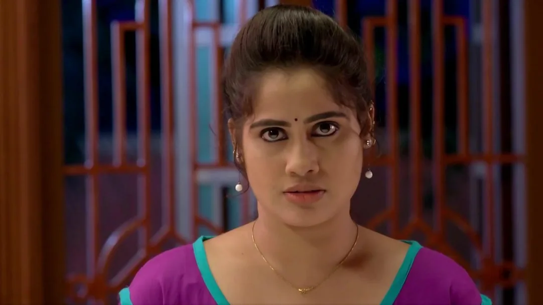 Arun's words make Karthika uneasy 5th August 2020 Webisode