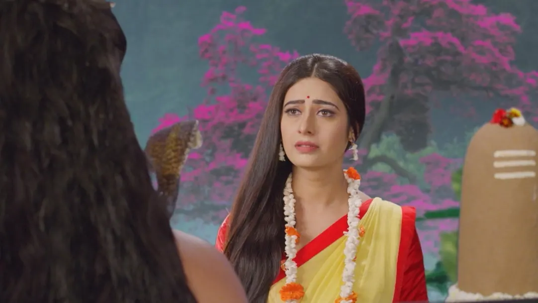 Goddess Parvati performs a difficult penance 3rd February 2020 Webisode