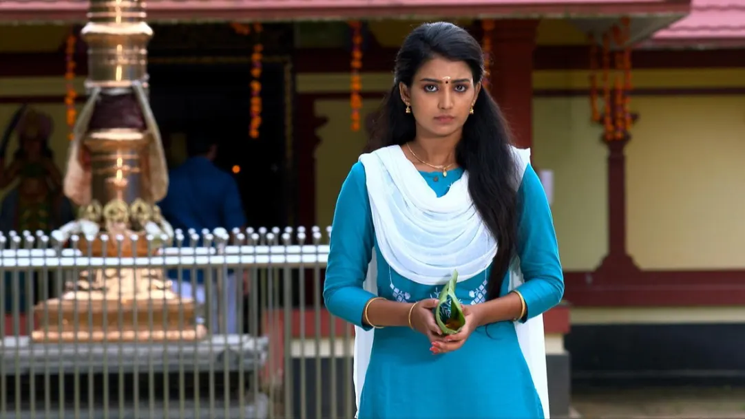 Karthika Deepam - August 17, 2020 - Episode Spoiler