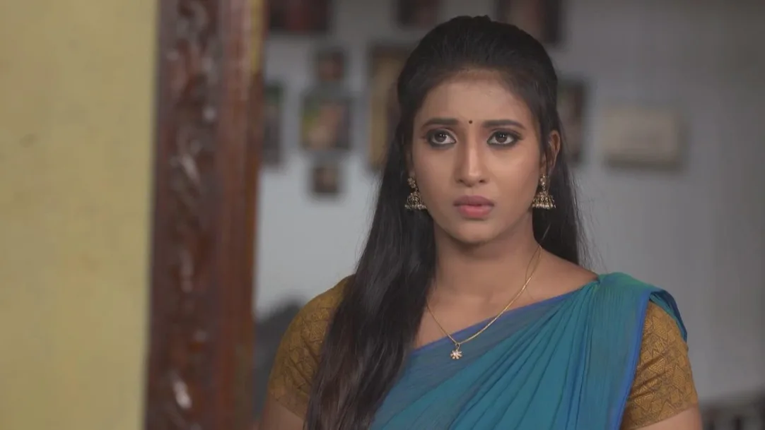 Nitya warns Vasundhara 29th November 2019 Webisode