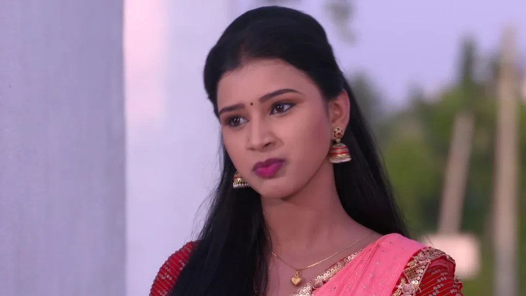 Karuna learns about a theft - Mahadevi 