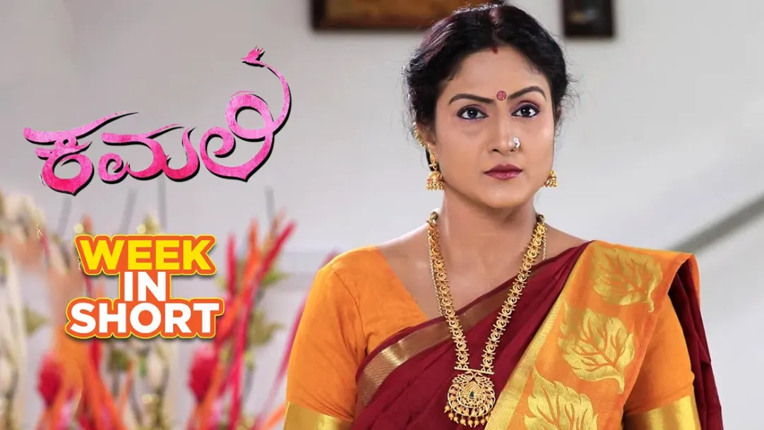 What will Anika plan to impress Rishi? - 20th Aug to 24th Aug - Kamali 