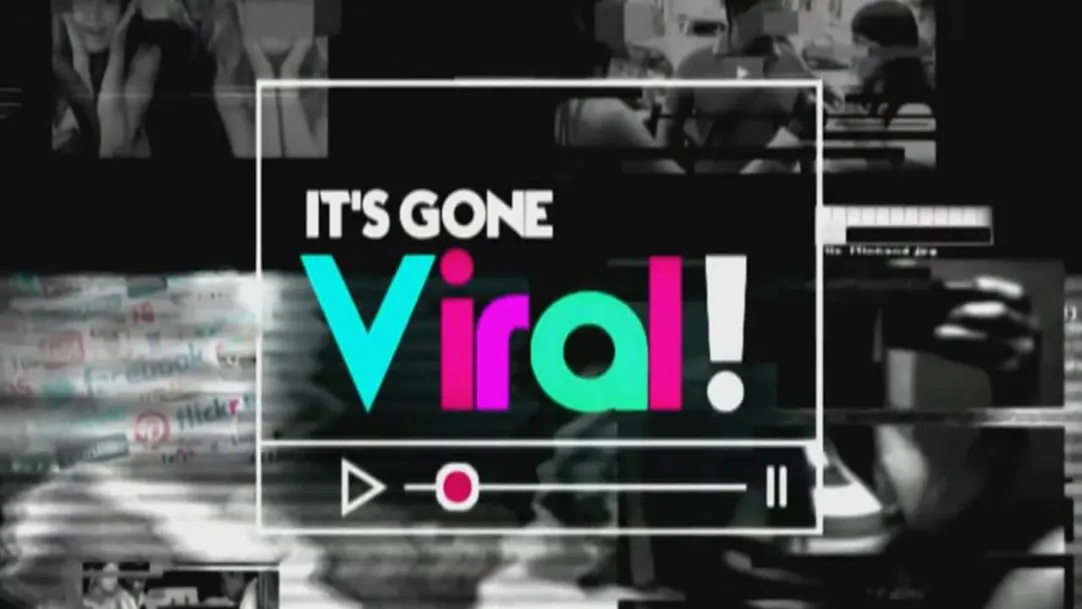 It's Gone Viral Streaming Now On India Today
