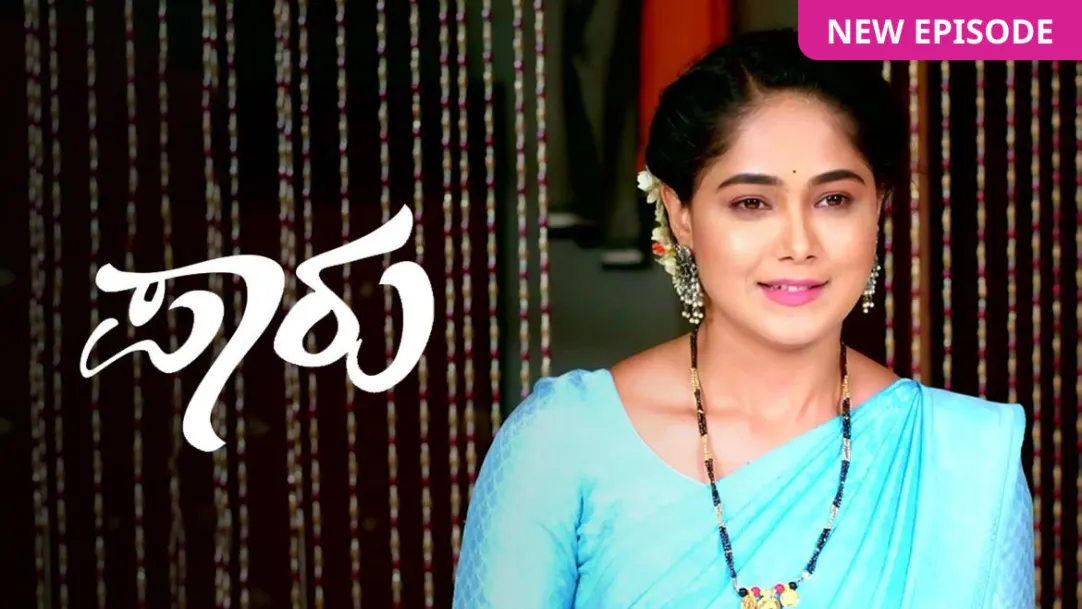 Paaru TV Show
