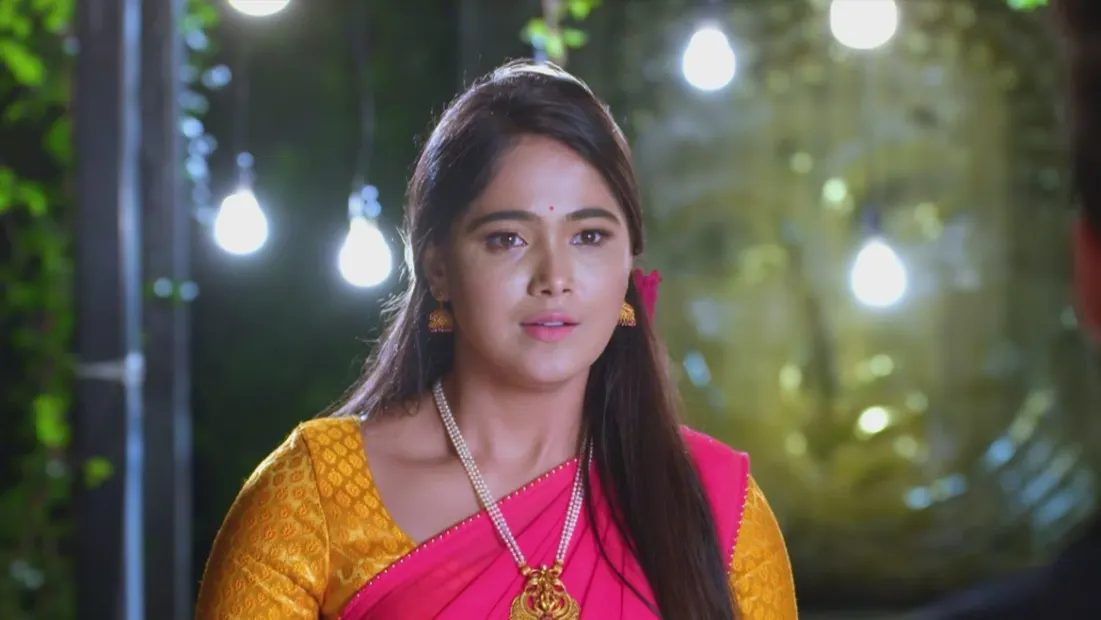 Paaru TV Serial Watch Paaru Online All Episodes 1 1385 on ZEE5