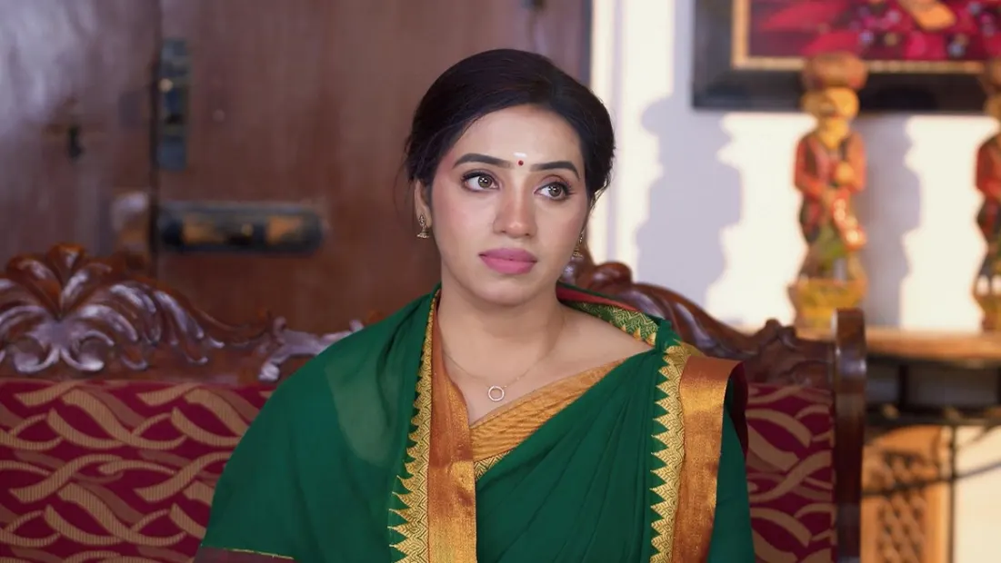 Karthigai Deepam TV Serial Online Watch Tomorrow s Episode Before TV on ZEE5