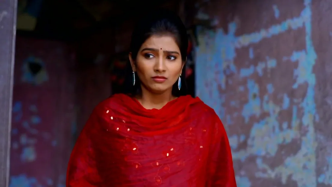 Devmanus 2 TV Serial Watch Devmanus 2 Online All Episodes 1 236 on ZEE5