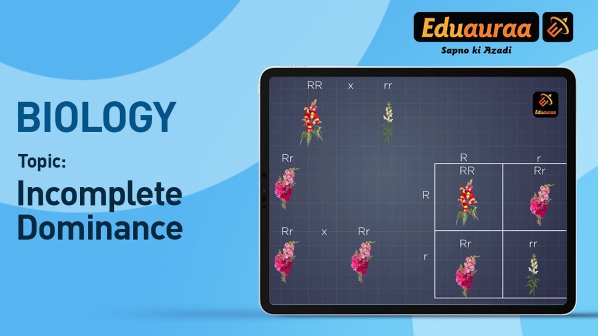 Watch Dominance Kids Video Online on ZEE5