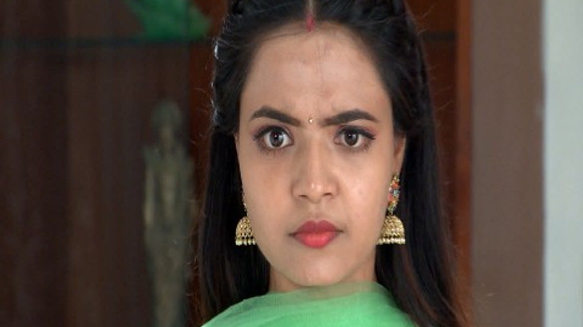 america ammayi serial ozee