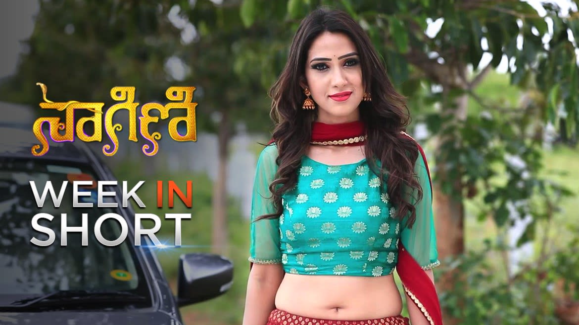 Watch Naagini Aug 16 2019 Full Episode Online In Hd Zee5 Watch trailers, exclusive interviews of actors, director, producer, photos & kannada movie news here. watch naagini aug 16 2019 full episode