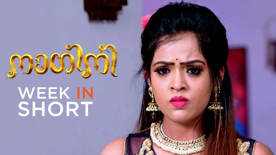nagini tamil serial episode 30 nagini tamil serial episode 30