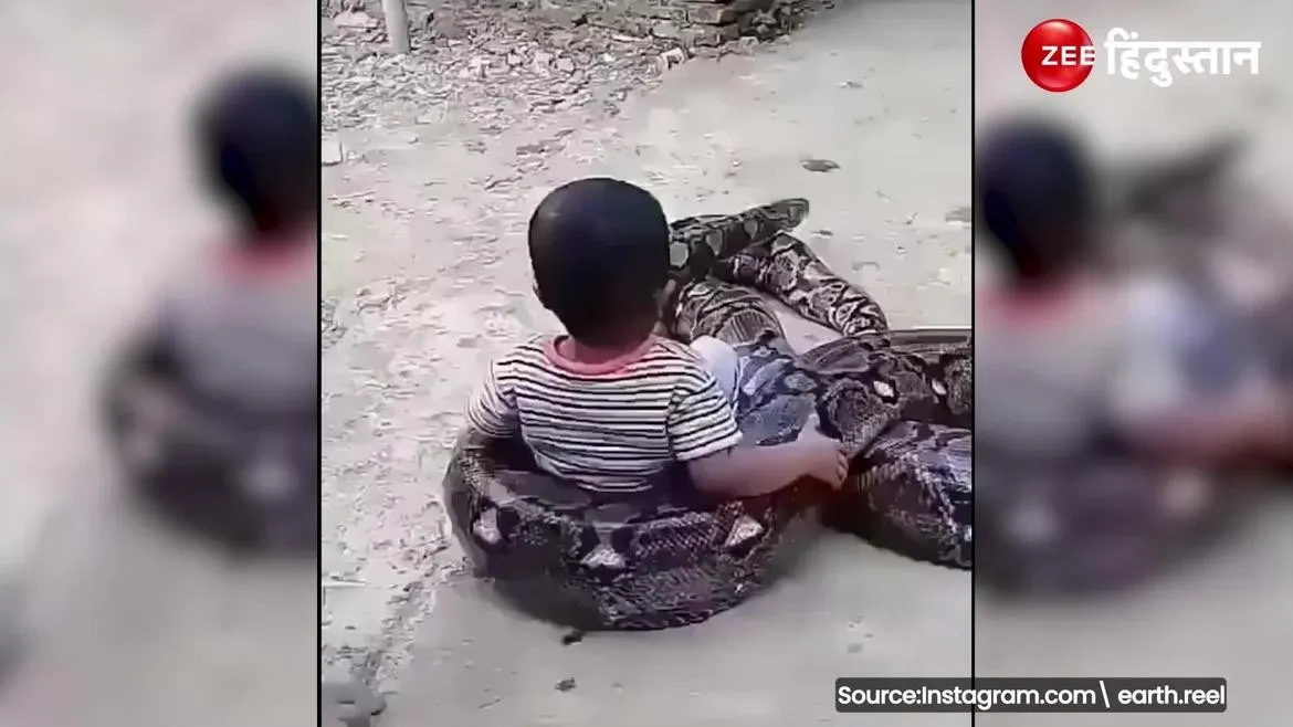 Watch Breaking News Little child ride dangerous python Started roaming ...