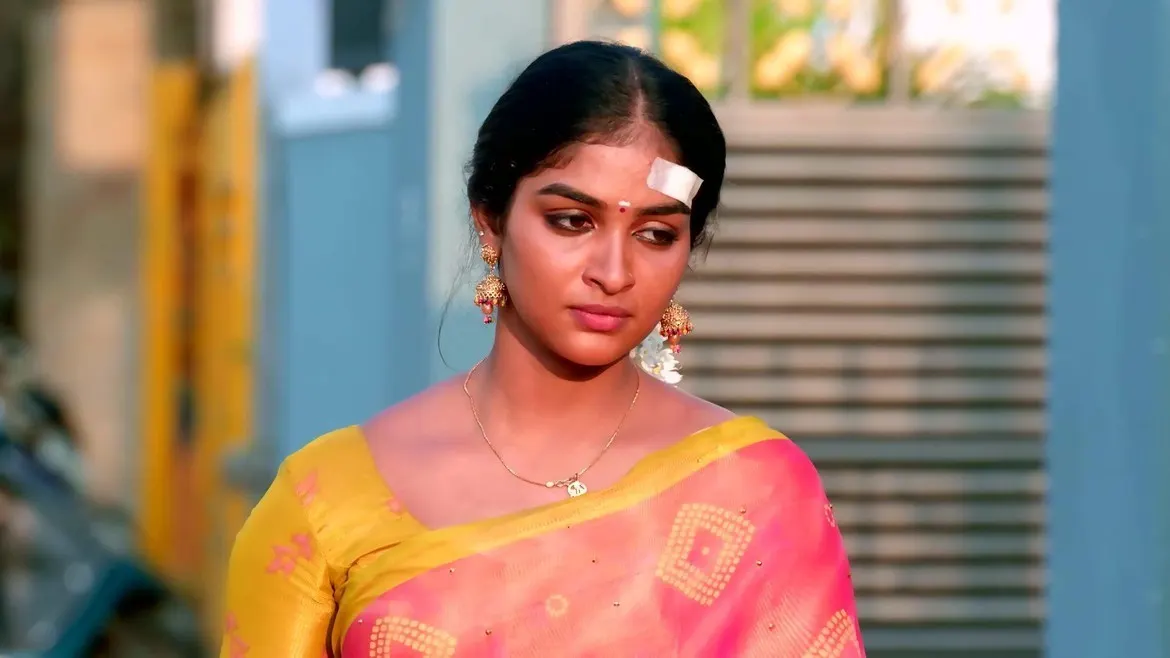 Watch Karthigai Deepam TV Serial 12th April 2023 Full Episode 109