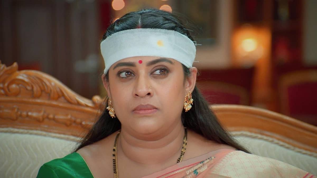 Watch Karthigai Deepam TV Serial 13th April 2024 Full Episode 446