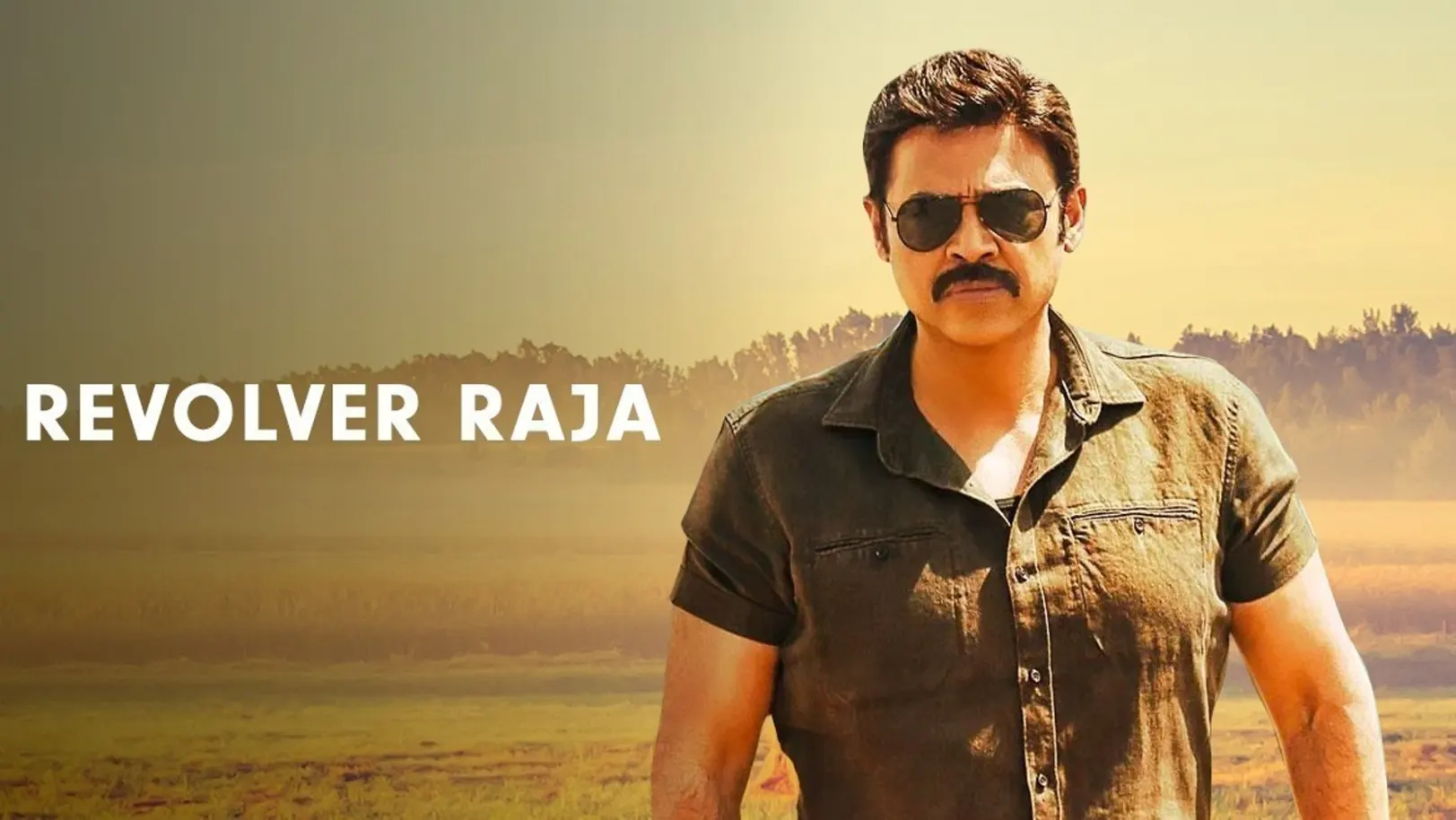 Revolver Raja Movie