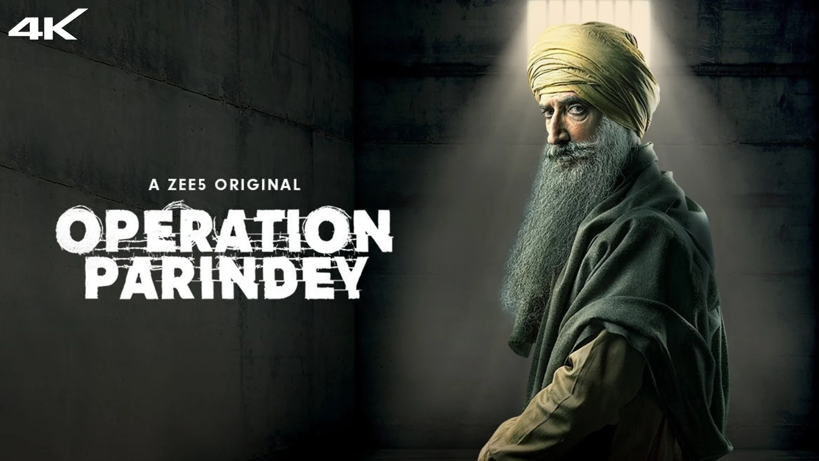 Operation Parindey Movie