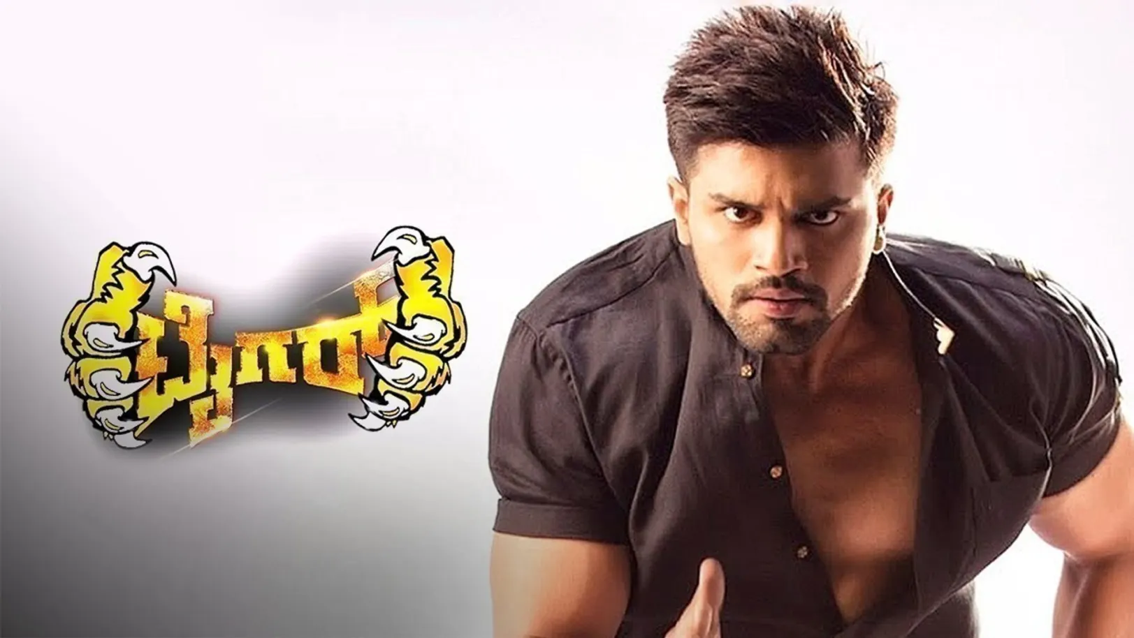 Tiger Movie