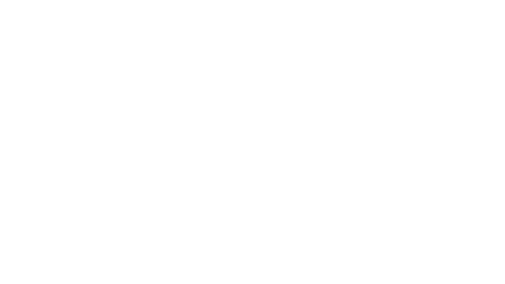 Brick Mansions
