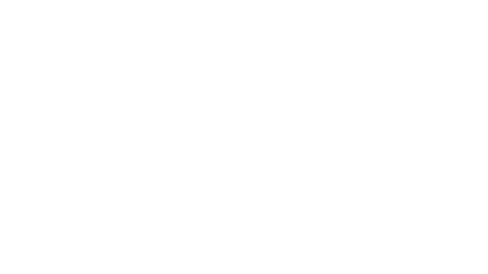 The Prince
