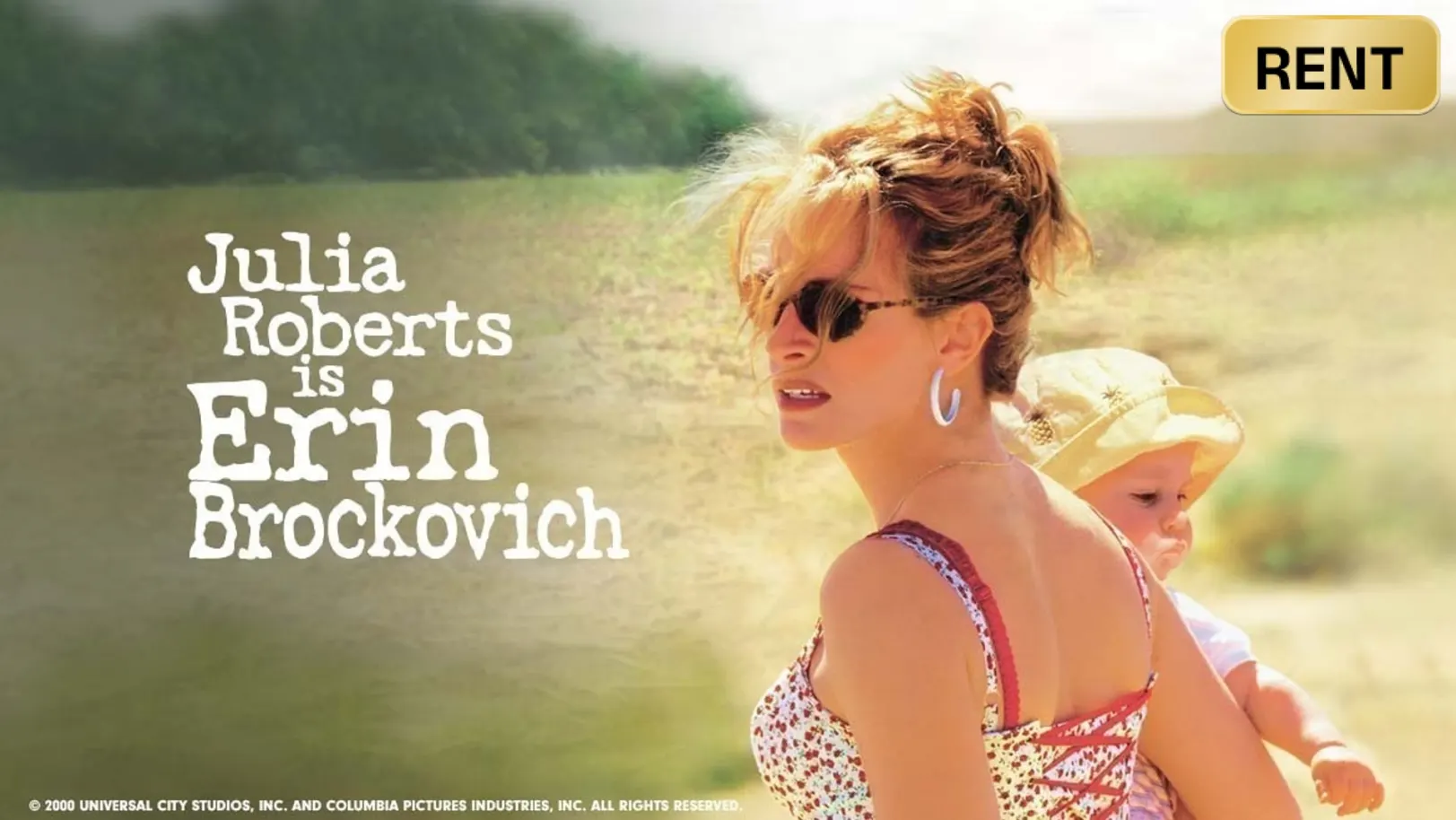 Erin Brockovich Movie