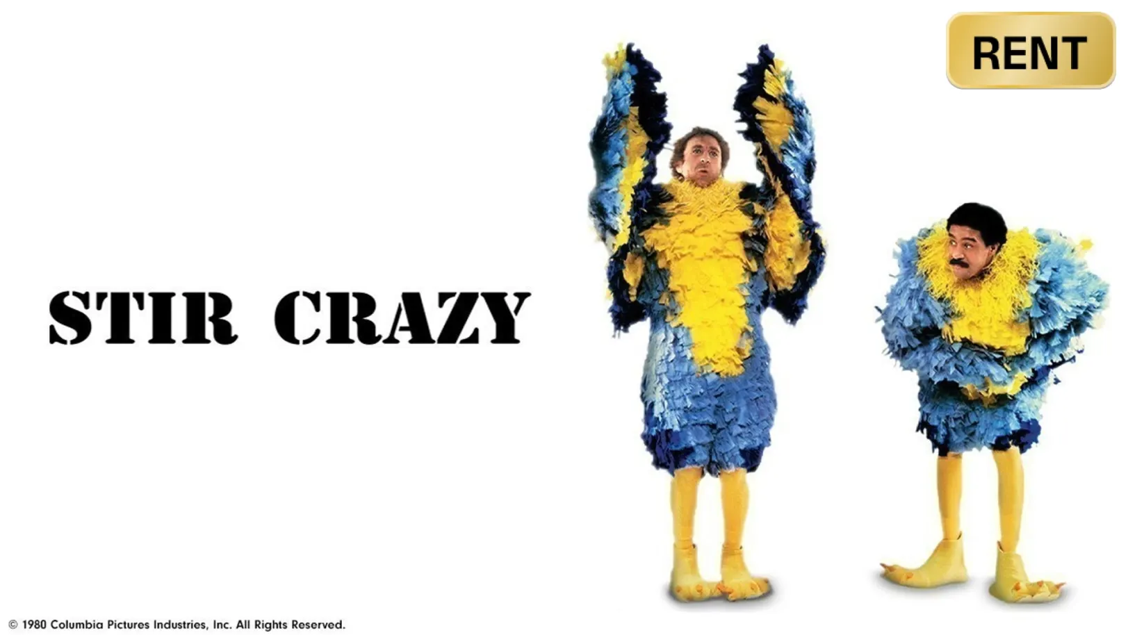 Stir Crazy Movie