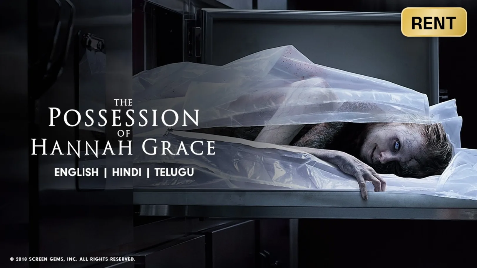 The Possession of Hannah Grace Movie