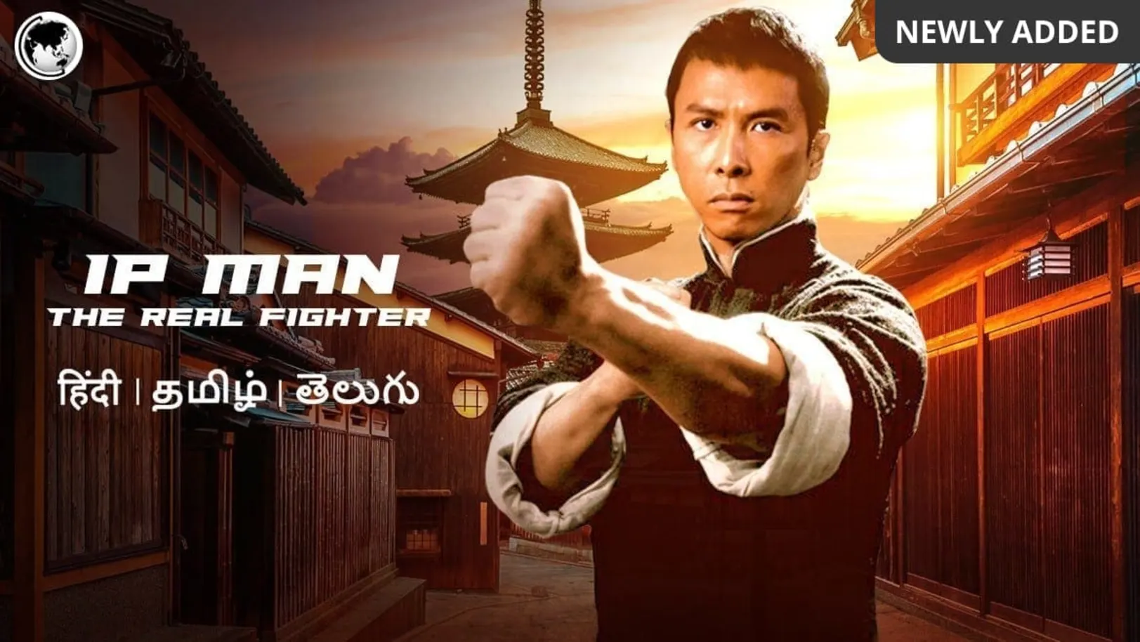 IP Man The Real Fighter Movie