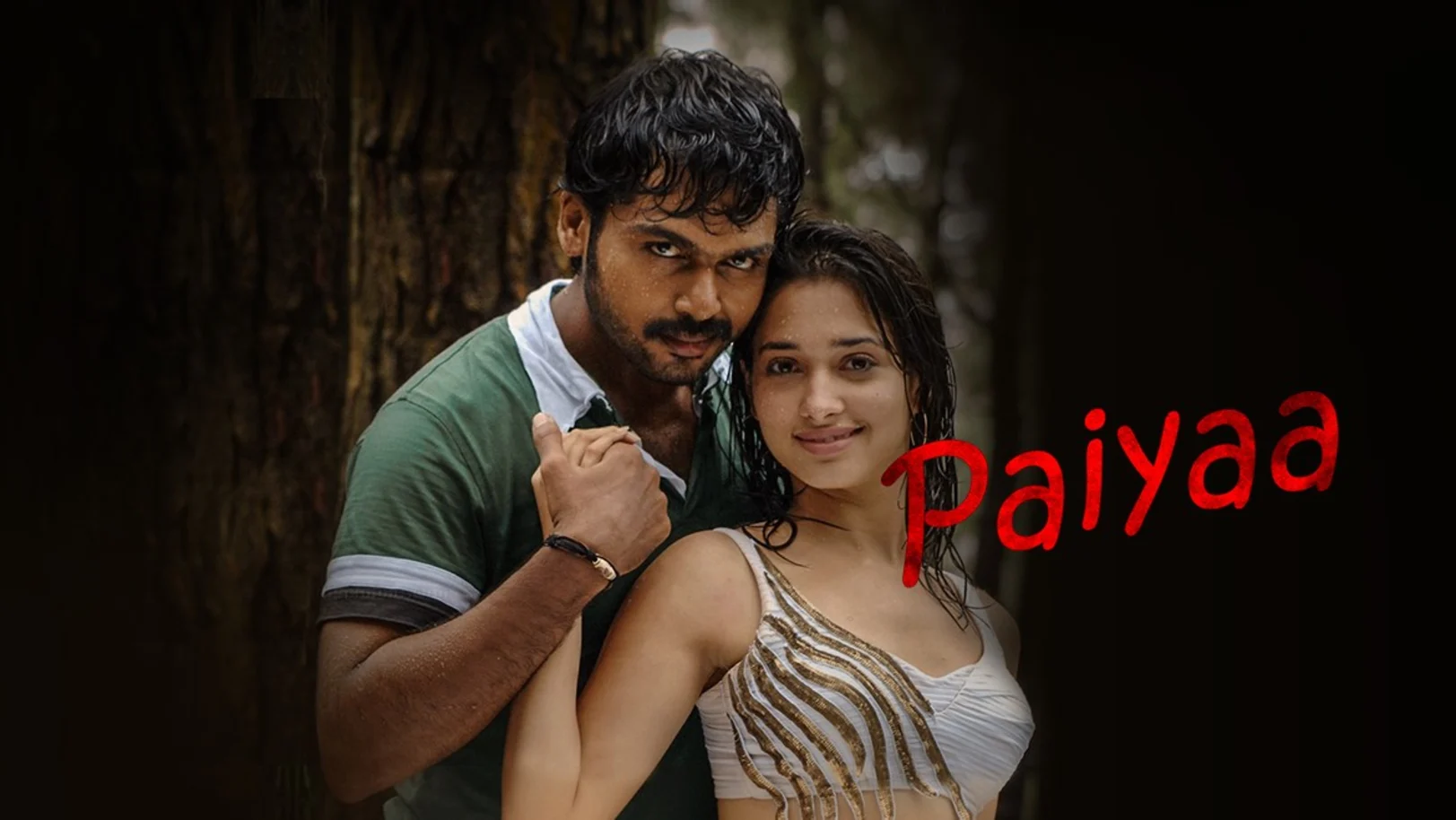 Paiyaa Movie