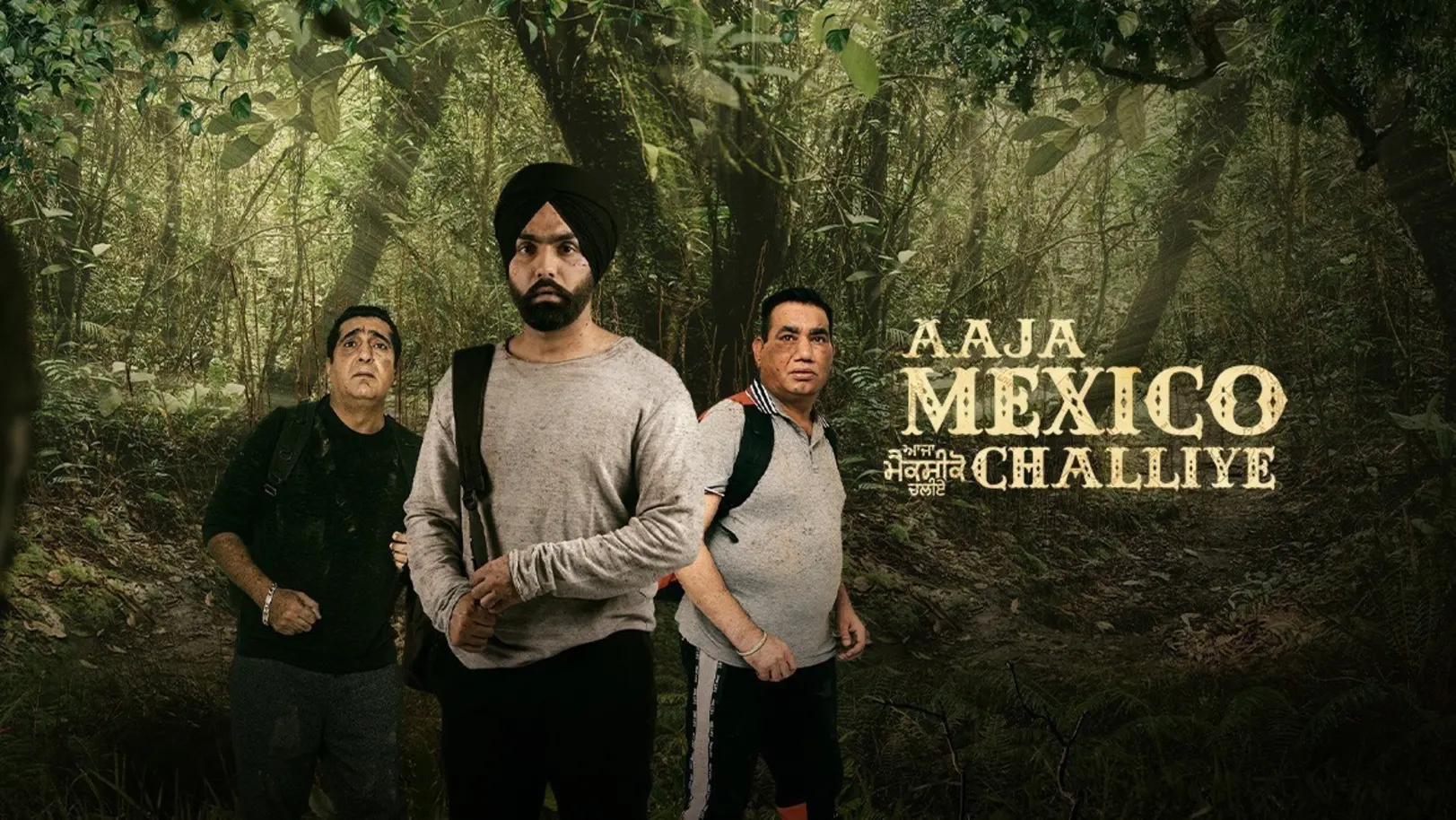 Aaja Mexico Challiye Movie