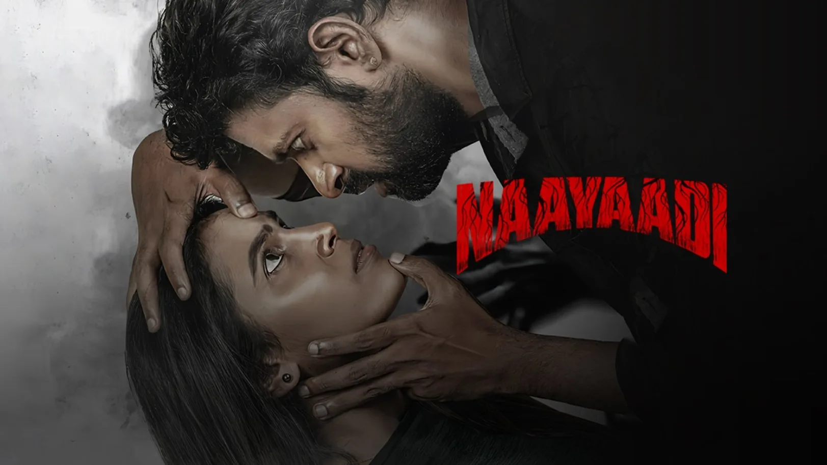 Naayaadi Movie